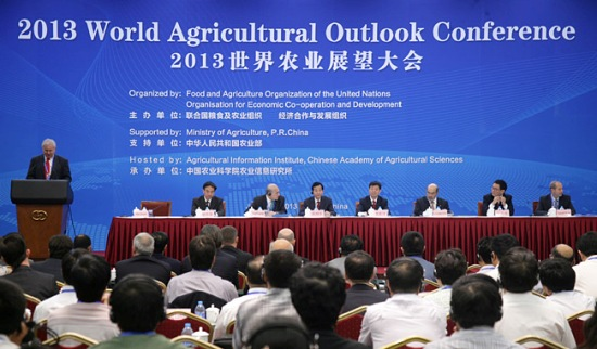 2013世界农业展望大会.png