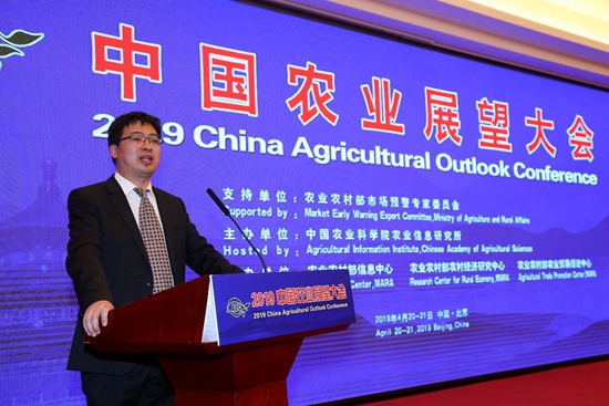 首席.jpg